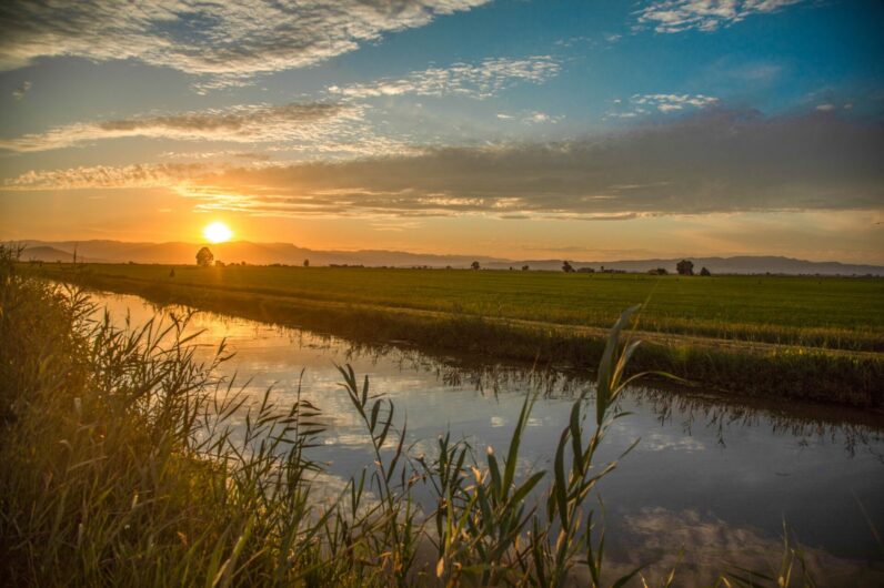 Por qu&eacute; tienes que ir al Delta del Ebro: las mejores puestas de sol, un paseo en barca y la isla de Buda