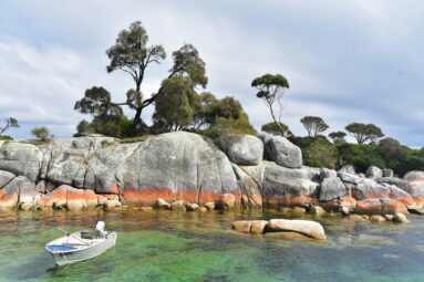 Tasmania, el destino que todos los australianos recomiendan: naturaleza salvaje y un museo provocador