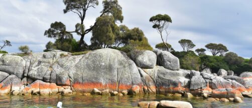 Tasmania, el destino que todos los australianos recomiendan: naturaleza salvaje y un museo provocador