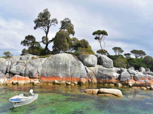 Tasmania, el destino que todos los australianos recomiendan: naturaleza salvaje y un museo provocador