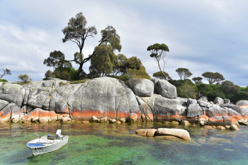 Tasmania, el destino que todos los australianos recomiendan: naturaleza salvaje y un museo provocador