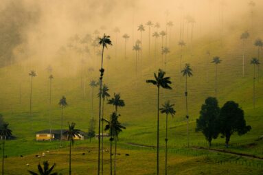 Eje Cafetero: por qué es uno de los viajes más fascinantes que puedes hacer en Colombia