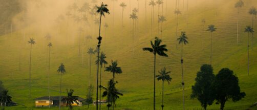 Eje Cafetero: por qu&eacute; es uno de los viajes m&aacute;s fascinantes que puedes hacer en Colombia