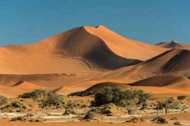 Por qué Namibia es uno de los viajes más espectaculares que puedes hacer en África