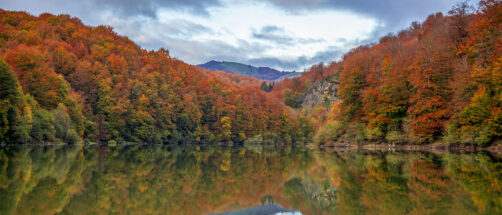 El bosque de Espa&ntilde;a que es un espect&aacute;culo en oto&ntilde;o: pueblos aut&eacute;nticos y el mejor senderismo