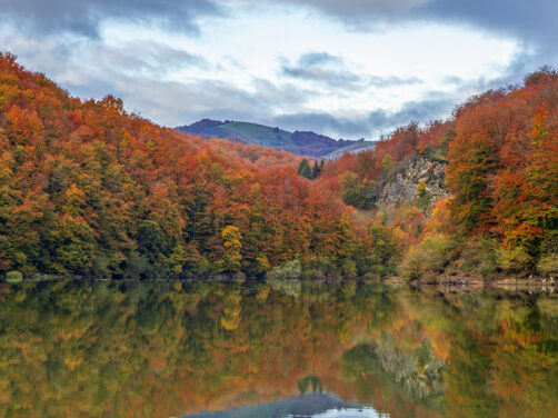 El bosque de Espa&ntilde;a que es un espect&aacute;culo en oto&ntilde;o: pueblos aut&eacute;nticos y el mejor senderismo
