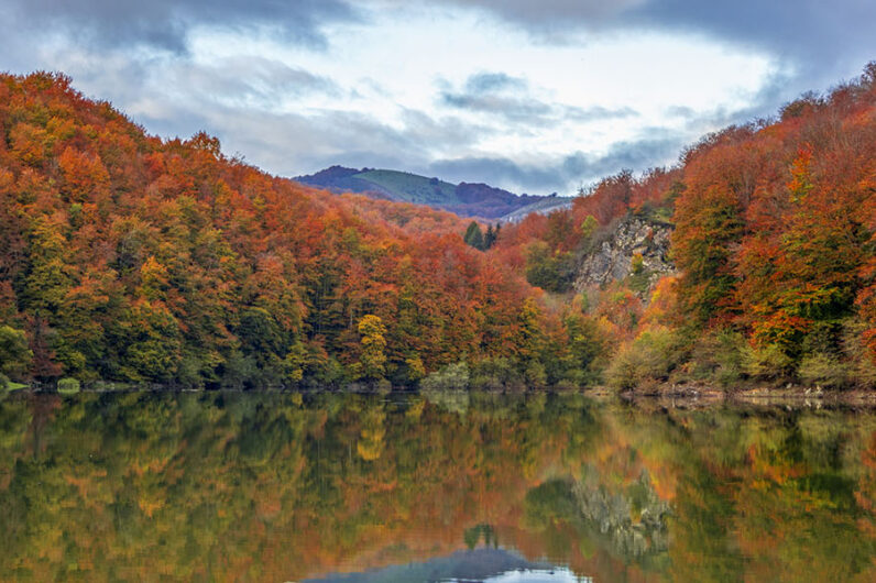 El bosque de Espa&ntilde;a que es un espect&aacute;culo en oto&ntilde;o: pueblos aut&eacute;nticos y el mejor senderismo